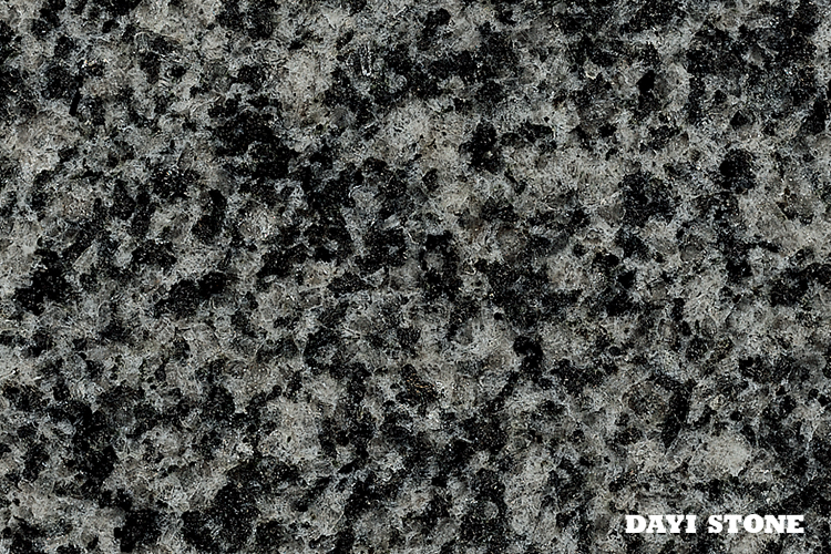 China Impala-Dark Grey Granite Stone - Dayi Stone